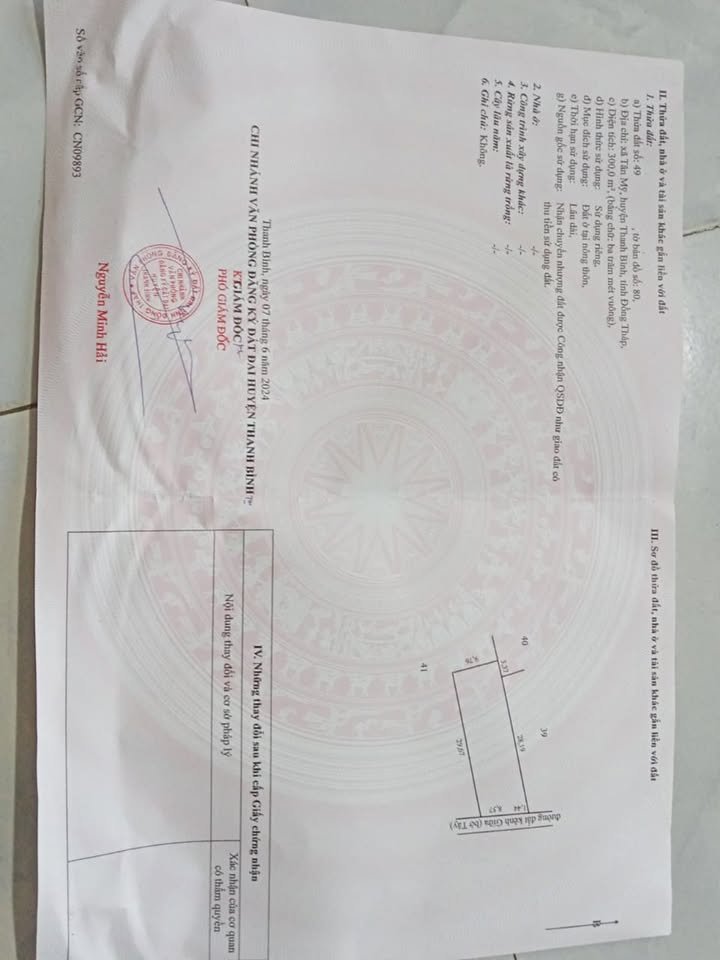 Đất nền Tân Mỹ, Thanh Bình 300m² giá thỏa thuận - Vị trí đẹp, đường nhựa xe tải