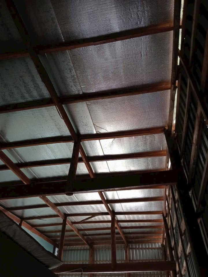 Nhà bán tại Nguyễn Hữu Kiến, Tân Thuận Tây, 75m² giá 1.25 tỷ - Pháp lý rõ ràng!