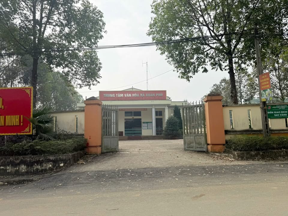 Đất nền Thị trấn Sao Vàng, Huyện Thọ Xuân 196m² giá 495 triệu - Cơ hội đầu tư sinh lời!