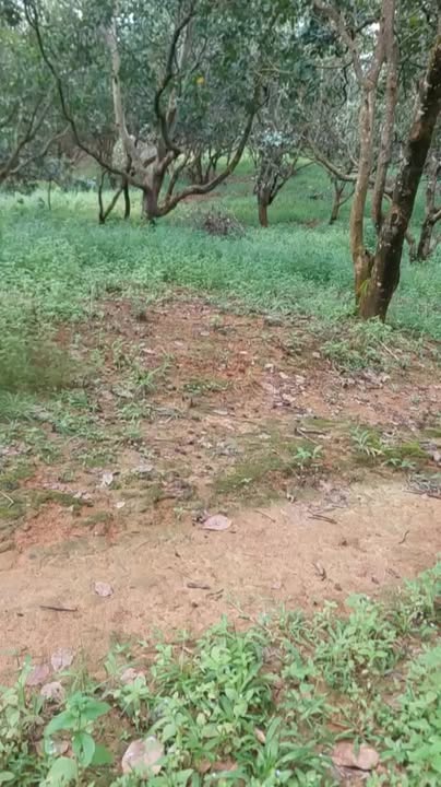 Đất Farm 3,2 ha tại xã Phú Sơn, giá 620 triệu - Cơ hội đầu tư tuyệt vời!