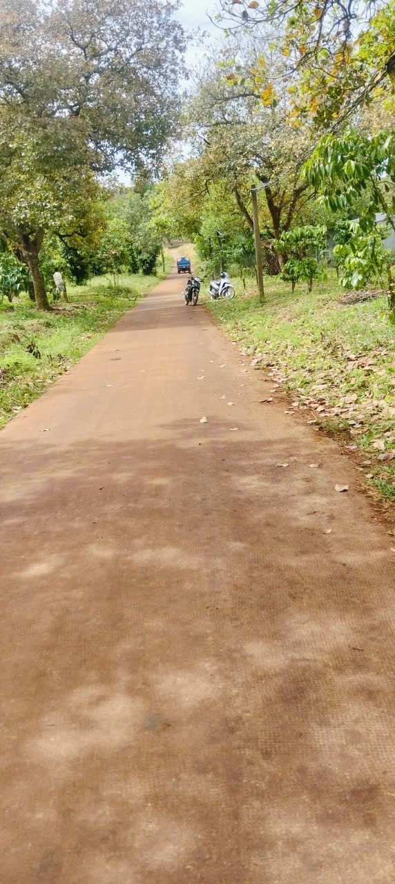 Đất nền 60m² tại Xã Thống Nhất, Huyện Bù Đăng - Giá chỉ 1,6 tỷ, Sổ đỏ chính chủ!