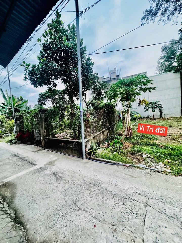 Đất nền Trảng Dài, Biên Hòa 95m² giá 890 triệu - Đầu tư sinh lời ngay!