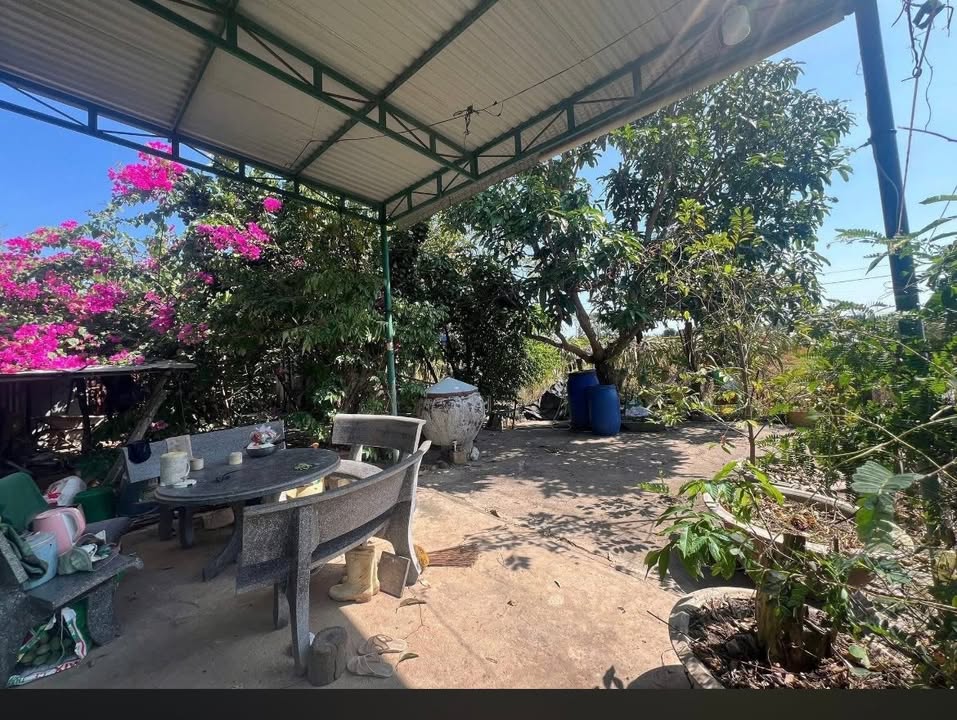 Nhà cấp 4 xã Hàm Mỹ 217m² giá 550 triệu - Sổ hồng chính chủ!