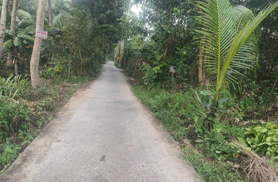 Đất nền Thị trấn Phước Mỹ Trung, 500m² giá 650 triệu - Đầu tư sinh lời ngay!