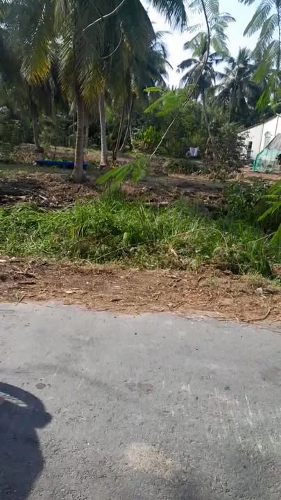 Đất vườn dừa 2270m² tại ấp Sa Bình, Vĩnh Long - Giá chỉ 1.85 tỷ!