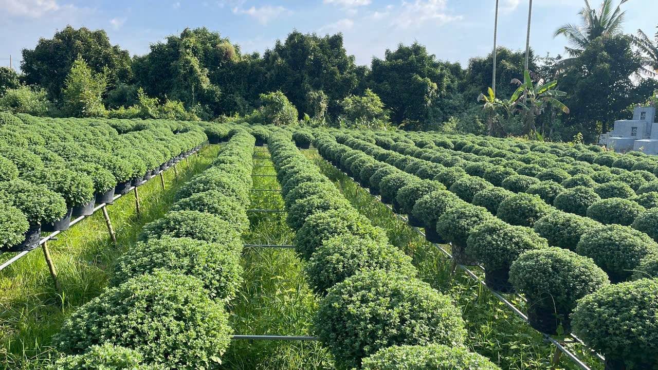 Đất nền 124.6m² Hưng Khánh Trung B chỉ 195 triệu - Cơ hội đầu tư hấp dẫn!