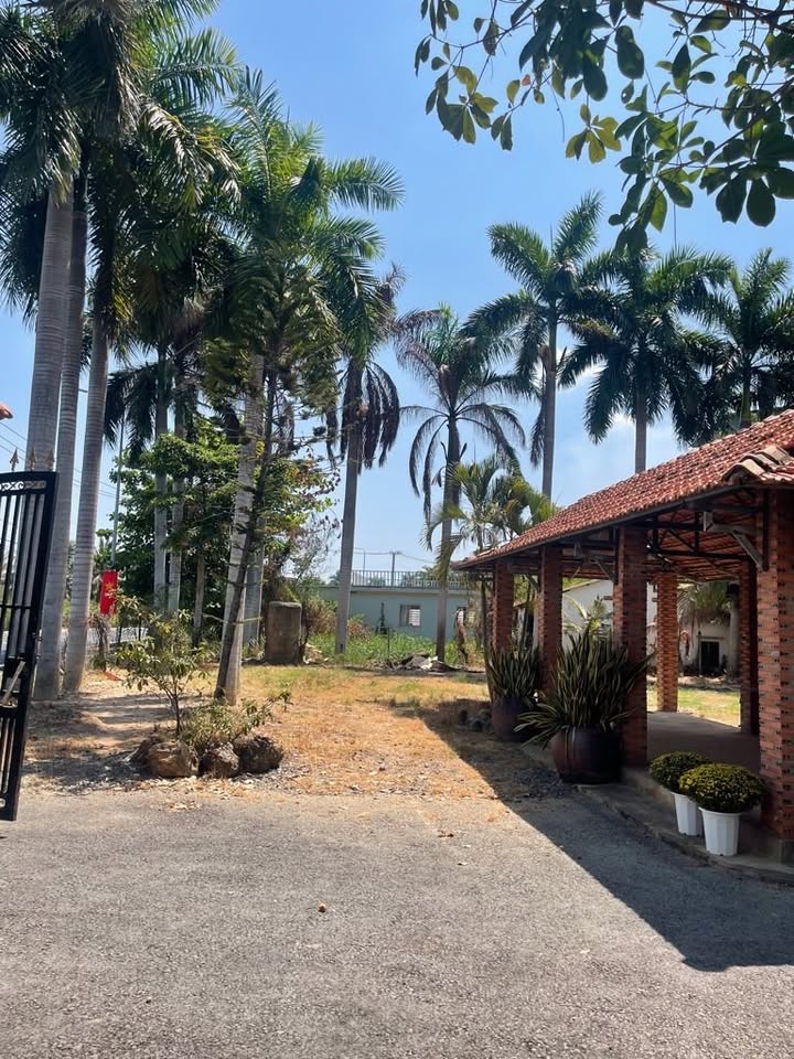 Đất mặt tiền Long Phước, 4000m² giá 65 tỷ - Cơ hội đầu tư hấp dẫn!