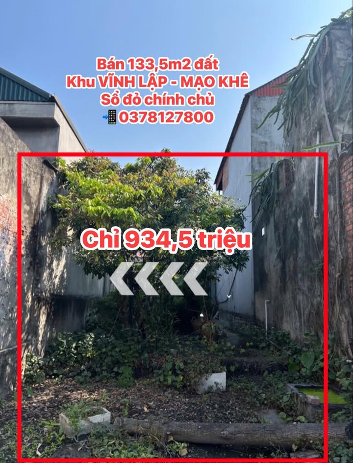 Đất nền 133,5m² Khu Vĩnh Lập, Mạo Khê chỉ 934.5 triệu - Đầu tư sinh lời ngay!