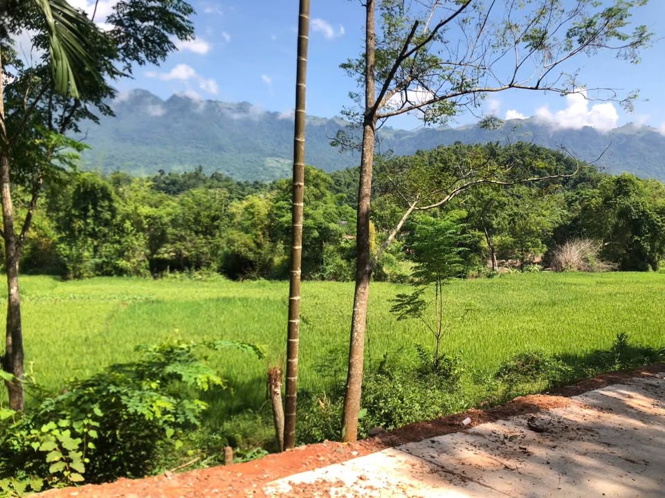 Đất nền Huyện Mai Châu 454m² giá 4xx triệu - 2 mặt đường, view cánh đồng thơ mộng!