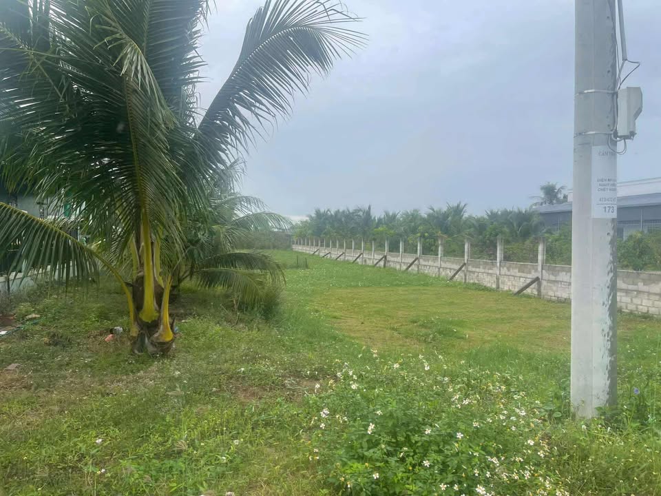 Đất thổ cư mặt tiền Lý Thái Tổ La Gi 155m² giá 2 tỷ - Sổ hồng riêng chính chủ!