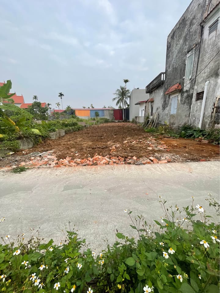 Đất nền mặt ngõ Trung Nghĩa - Đồ Sơn 282m² giá 3.38 tỷ - Cơ hội đầu tư sinh lời!