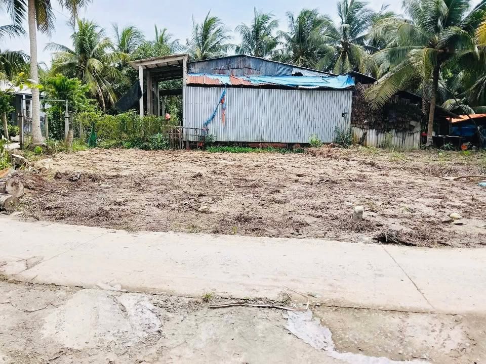 Đất nền xã Loan Mỹ, huyện Tam Bình, 88m² giá 130 triệu - Cách đường nhựa 300m!