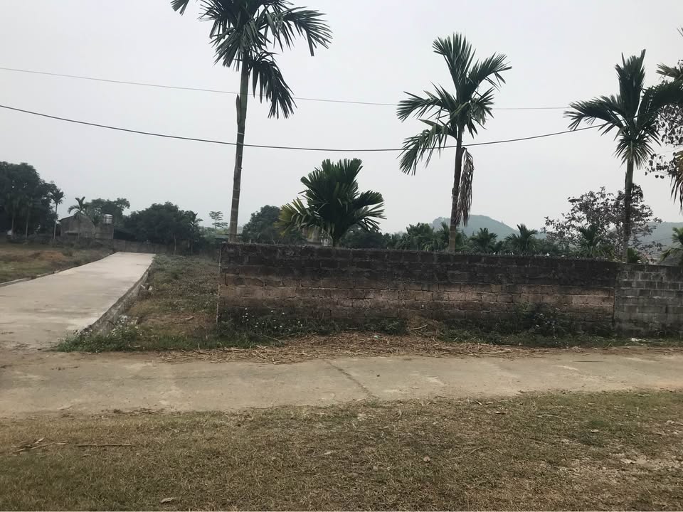 Đất thổ cư Phường An Tường TP Tuyên Quang 180m² giá chỉ 1.35 tỷ - Đường ô tô vào thoải mái!