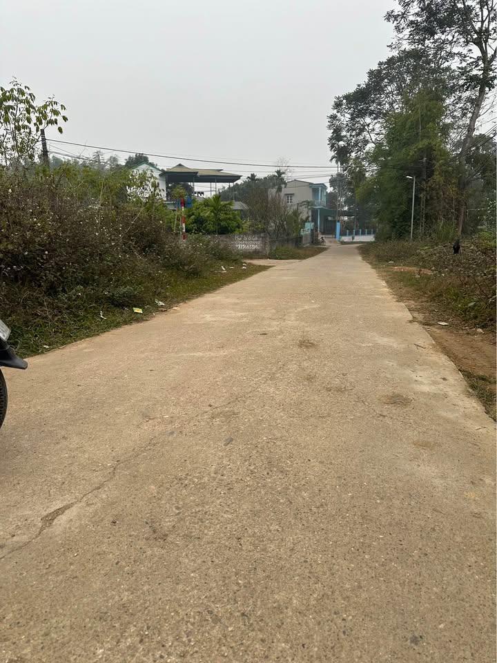 Đất nền TDP 5 phường Đội Cấn 222m² giá thỏa thuận - Đầu tư sinh lời ngay!