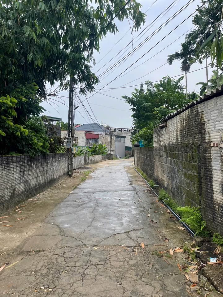 Đất nền Kim Quan 100m² giá 1.6 tỷ - Sổ đỏ chính chủ, xây dựng ngay!