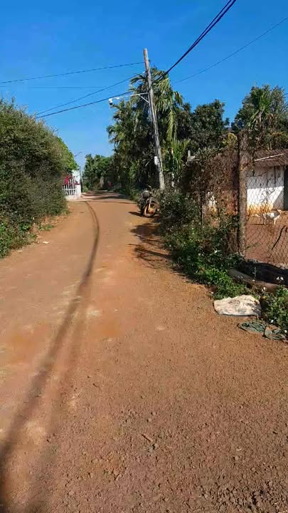 Farm 1,1ha tại Thôn Thái Hà, Chư Sê chỉ 2,4 tỷ - Đầu tư sinh lời tốt!