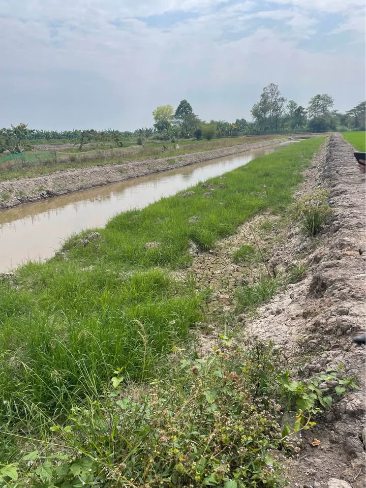 Đất nông nghiệp 3.700m² tại xã Hoà Long, giá 1.25 tỷ - Đầu tư sinh lời!