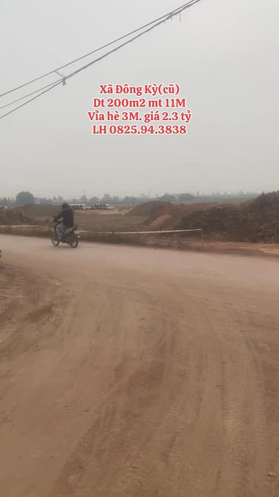 Bán đất Tứ Kỳ, Hải Dương 200m² - Đầu tư sinh lời cao!