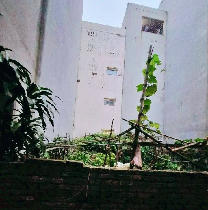 Đất Lạc Long Quân, Tây Hồ 92m² giá 20 tỷ - Cơ hội đầu tư đẳng cấp!