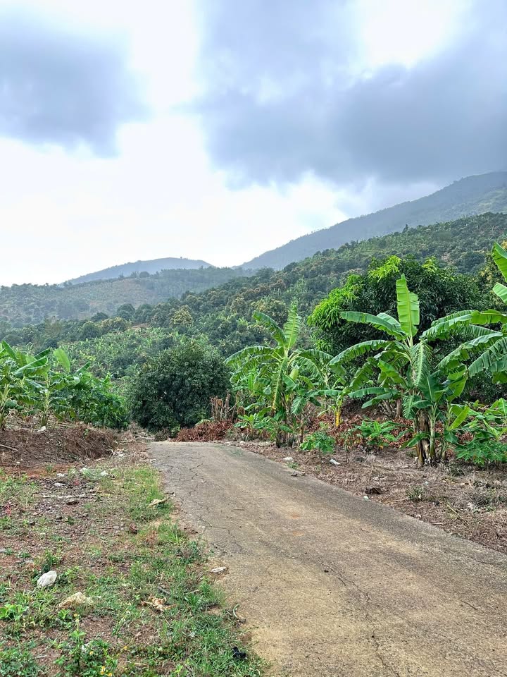 Đất đồi 2,1ha xã Vĩnh Phương Nha Trang - Sổ đỏ chính chủ giá chỉ 450k/m²!