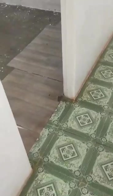 Nhà cho thuê Hẻm 23 Lương Đình Của, Pleiku - Giá chỉ 1.8 triệu/tháng!