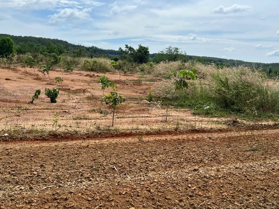 Đất vườn 1000m² tại Thủ Đức giá chỉ 120 triệu - Đầu tư lý tưởng cho nhà vườn!