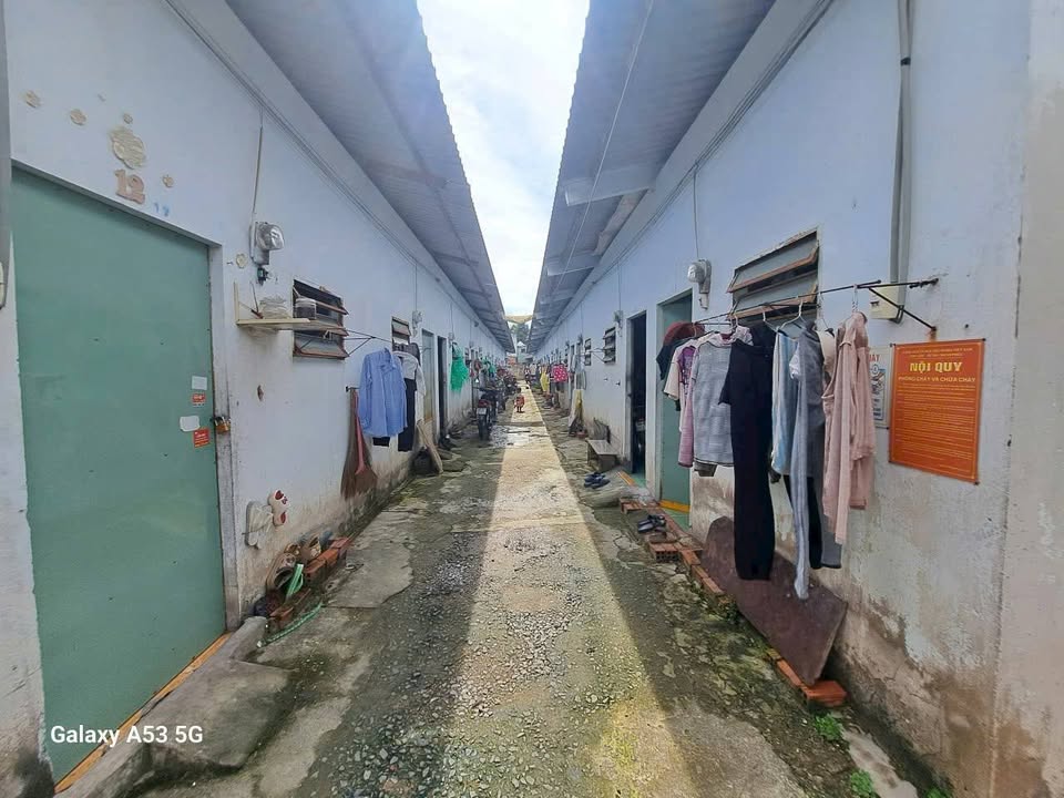 Đất SKC 2658m² xã Nhựt Chánh, Bến Lức giá 13.9 tỷ - Đầu tư sinh lời ngay!