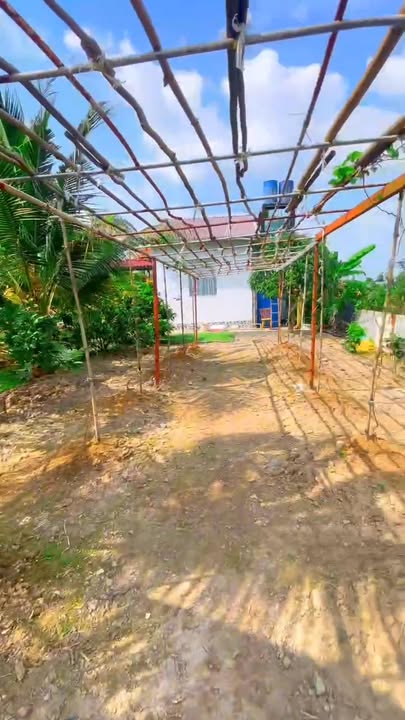 Nhà vườn 5.800m² tại Ấp Tân Điền, An Giang giá 8 tỷ - Cơ hội đầu tư tuyệt vời!