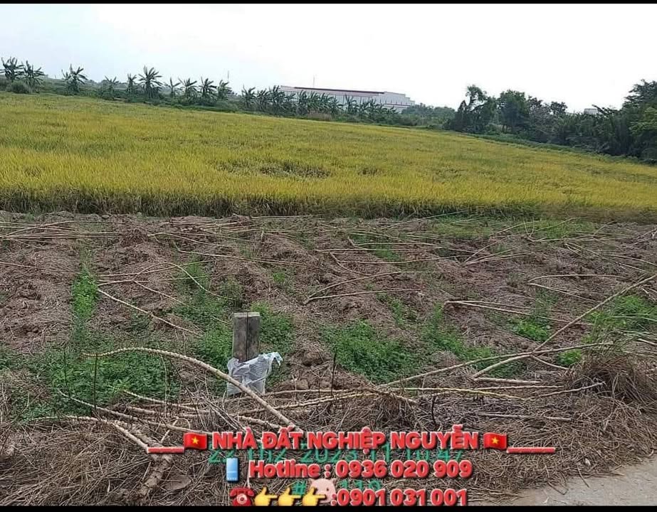 Đất nền mặt tiền đường Kênh 3/2 - Phường Phú Lợi, TP Cần Thơ - Giá chỉ 100.8 tỷ