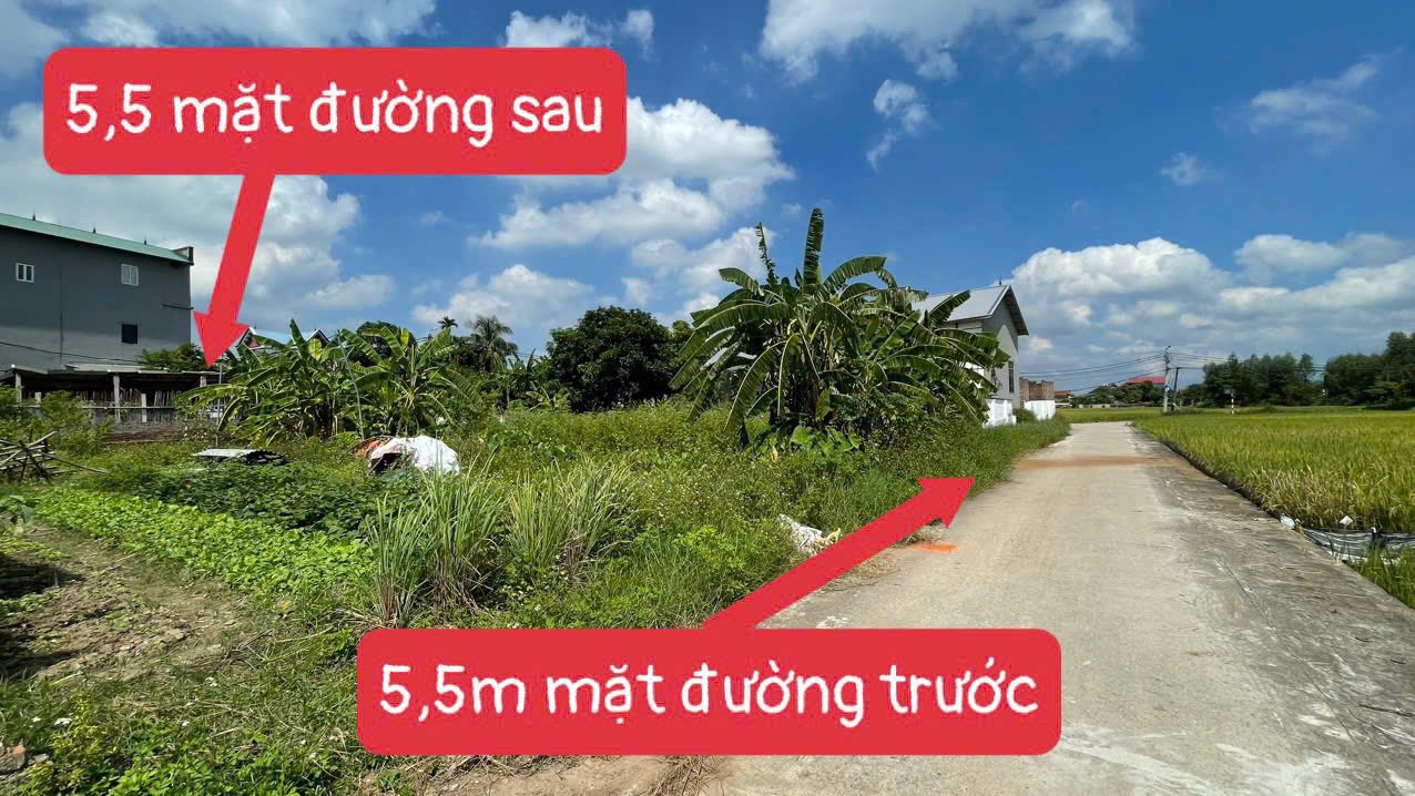 Đất nền Thanh Vân - Tam Dương 124m² giá 1.5 tỷ - Đầu tư sinh lời ngay!