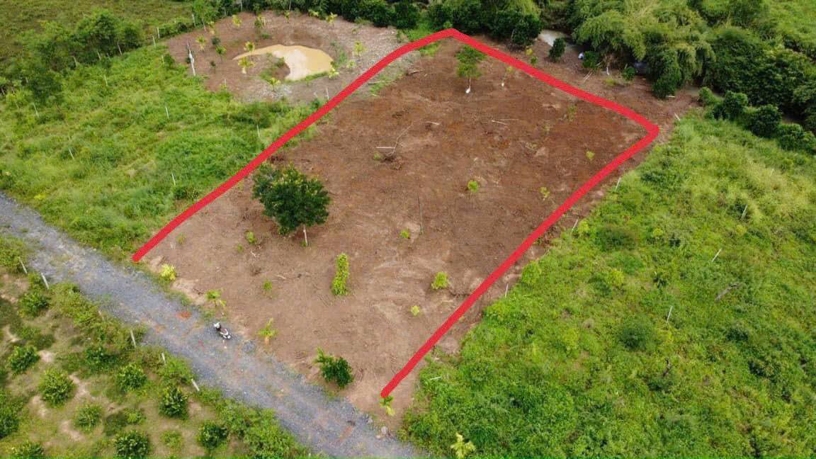 Đất thổ cư 720m² tại thôn 8, Buôn Đôn giá 790 triệu - View suối mát mẻ