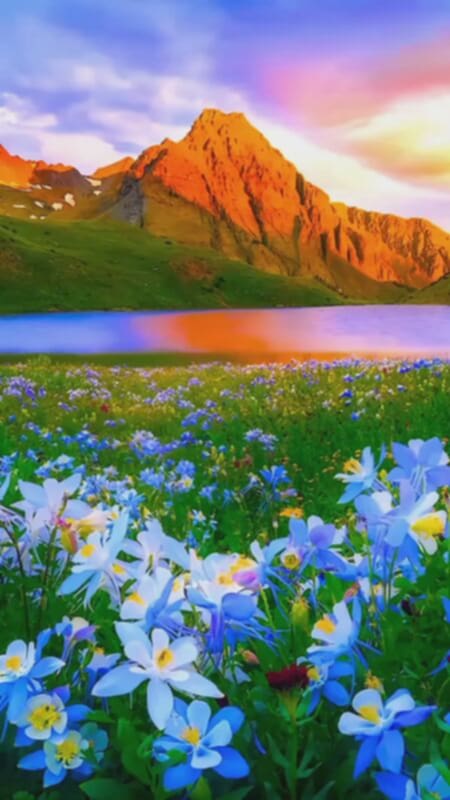 Bán FrontHouse mặt tiền Tôn Đản, Đà Nẵng 180m² giá 9 tỷ - Cơ hội đầu tư tuyệt vời!