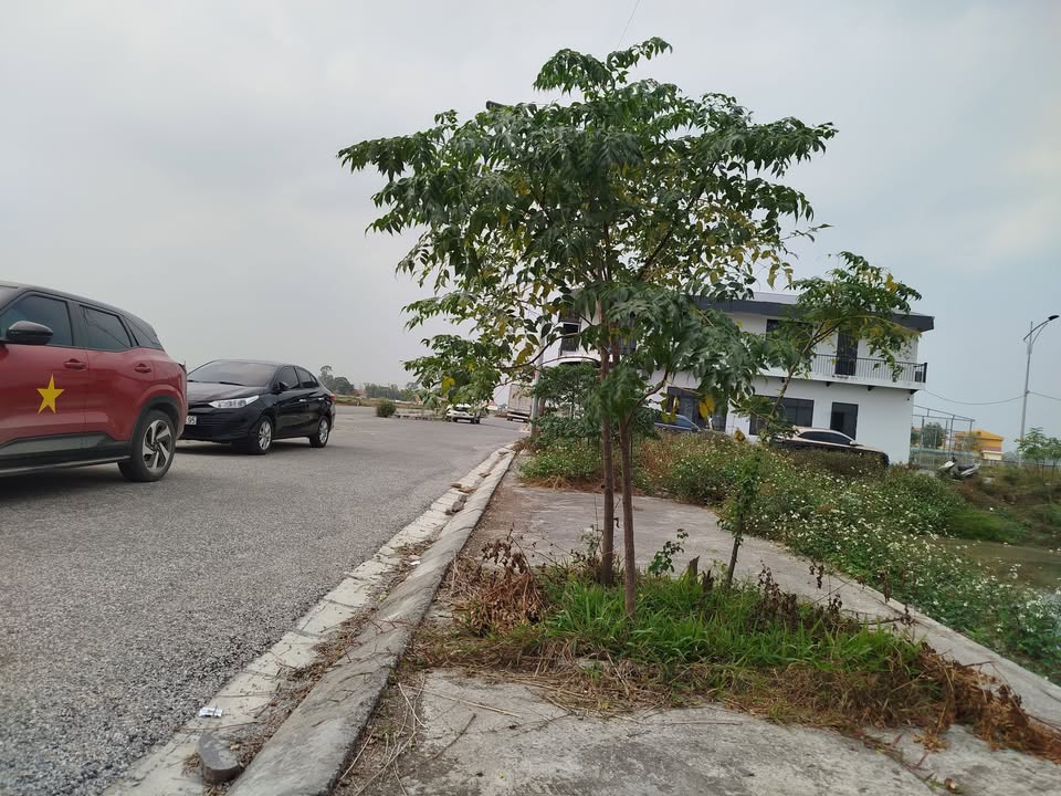 Đất nền dự án Đạo Lý, Lý Nhân, Hà Nam 124m² - Đầu tư sinh lời ngay!