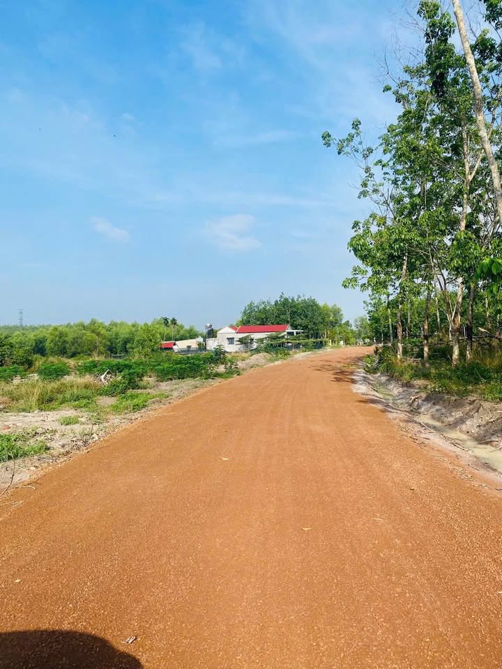 Đất nền lô góc 3 mặt tiền đường 43, Xã Minh Hưng, 420m² - Đầu tư lý tưởng sinh lời!