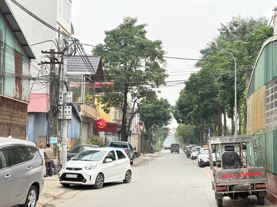 Đất nền Vin Cổ Loa, Bắc Hồng 60m² giá 4 tỷ - Đường thông ô tô vào tận đất!