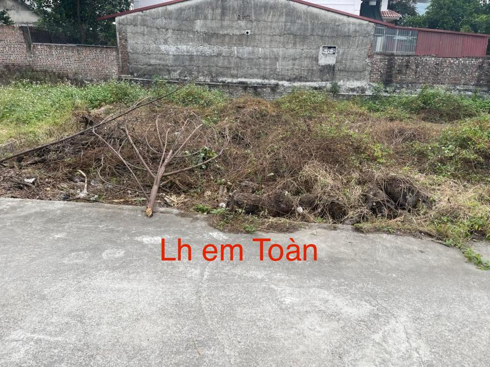 Lô đất 90m² tại Hiền Ninh, Sóc Sơn giá 2 tỷ - Đường ô tô đỗ cửa!