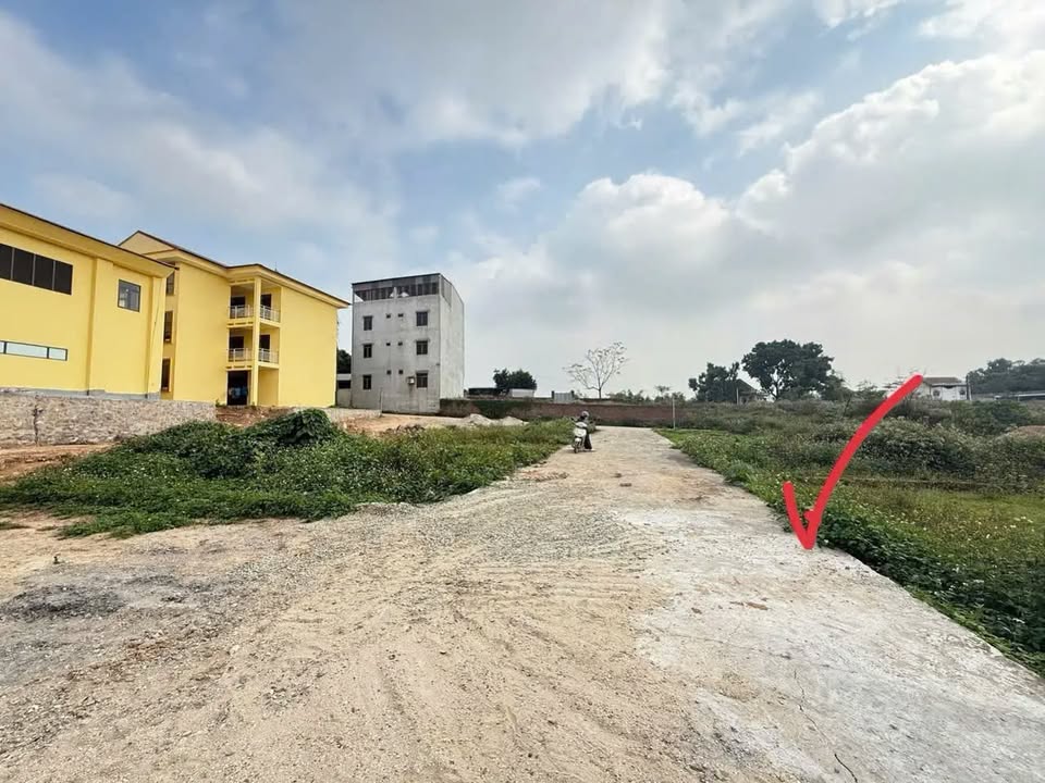 Đất nền 100m² tại xã Hướng Đạo, huyện Tam Dương - Gần trường học, giá chỉ 8xx triệu!