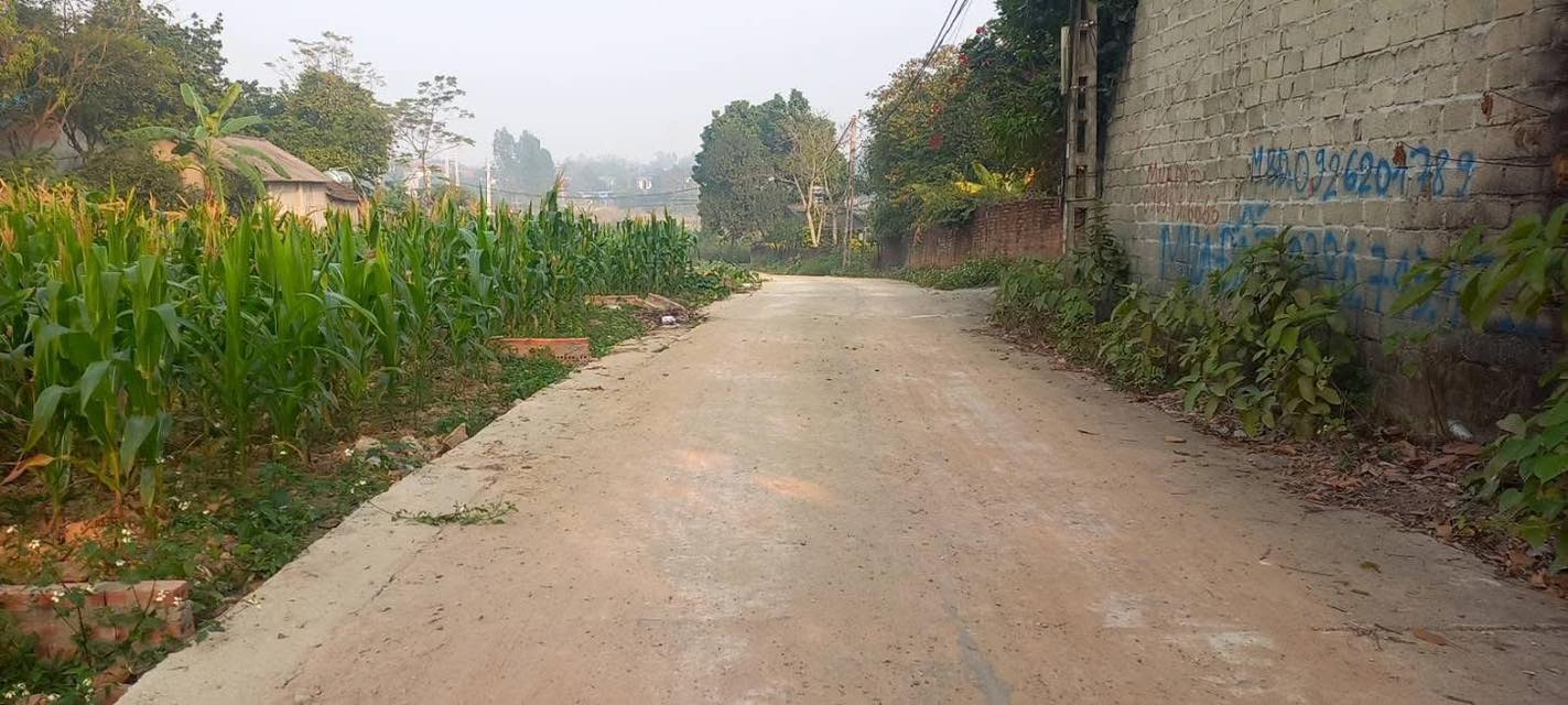 Đất nền tại Làng Quế, Huyện Tam Dương 98m² chỉ 1.3 tỷ - Cơ hội vàng đầu tư!