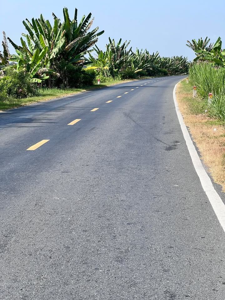 Đất nền 30,000m² tại Xã Nhơn Ninh, Huyện Tân Thạnh - Cơ hội đầu tư hấp dẫn!