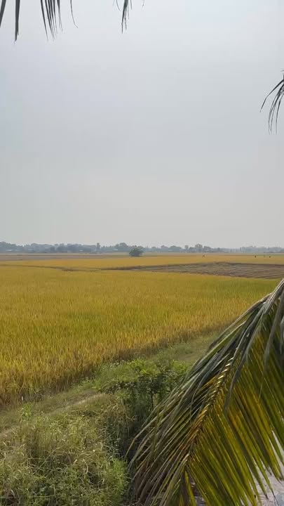 Đất nền Huyện Đức Hòa 90m² giá 2.2 tỷ - Đầu tư sinh lời ngay!