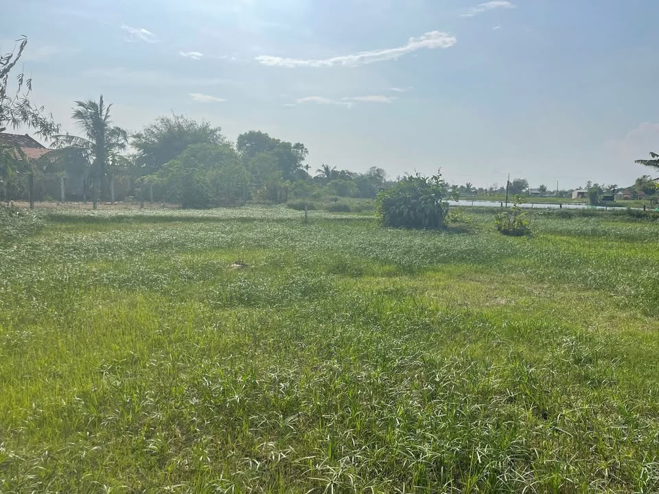 Đất thổ cư 525m² xã Mỹ Hạnh Nam, giá 2.7 tỷ - Cơ hội đầu tư hấp dẫn!