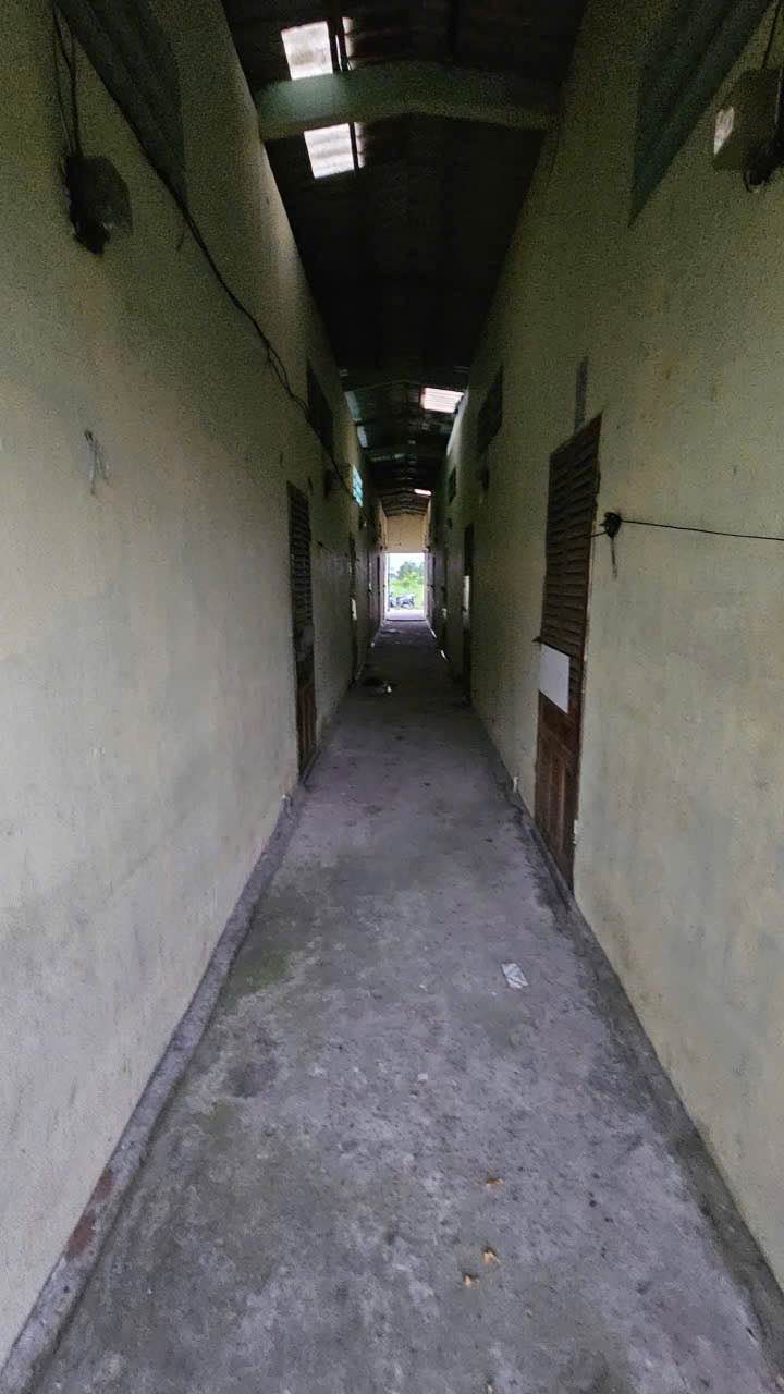 Đất thổ cư Thủ Thừa 264m² giá 1,2 tỷ - Đầu tư sinh lời ngay!