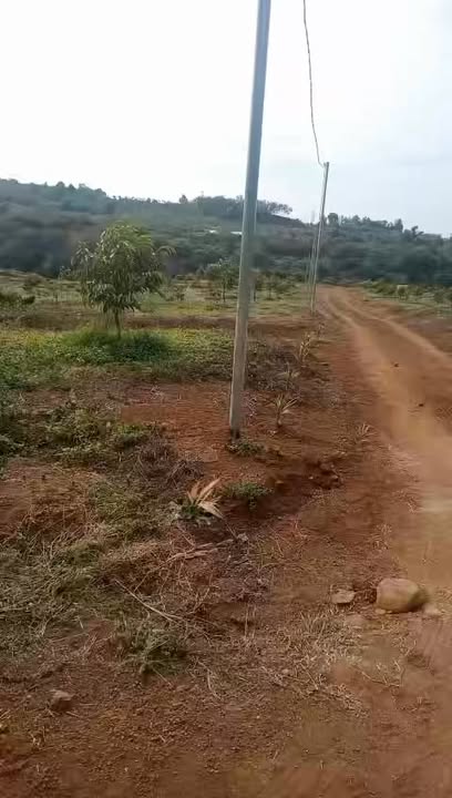 Farm 5ha tại Bình Minh, Bù Đăng - Đầu tư sinh lời chỉ 1 tỷ 7