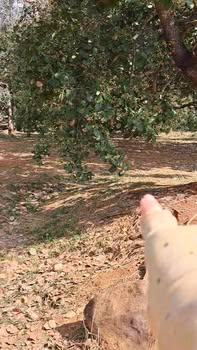 Đất nền 360m² xã Phú Trung, giá chỉ 190 triệu - Cơ hội đầu tư tuyệt vời!