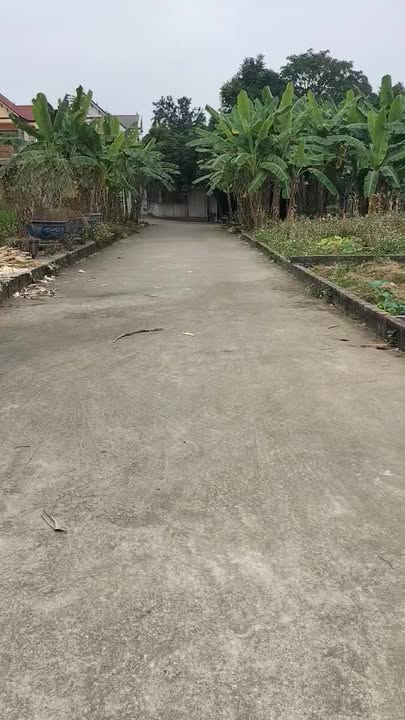 Mặt tiền FrontHouse 100m² tại thị trấn Nhân Thắng, Bắc Ninh - Giá thỏa thuận hấp dẫn!