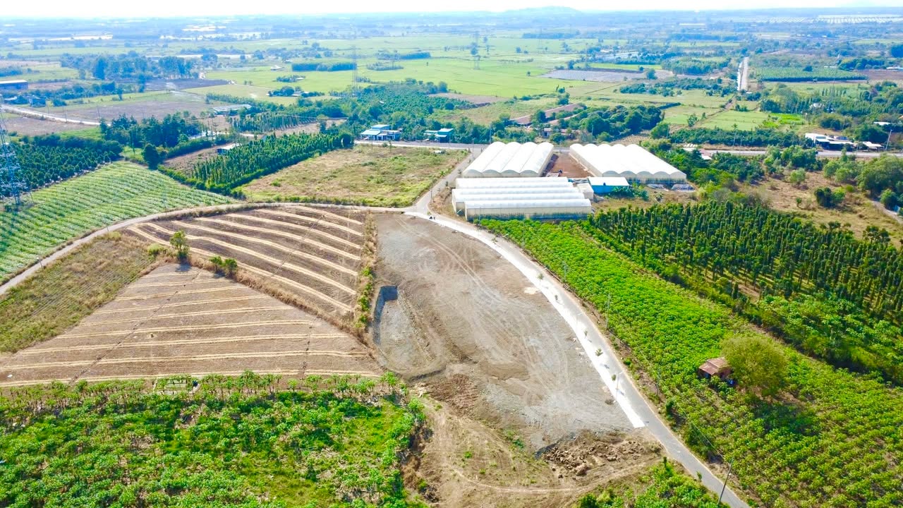 Đất nền Đá Bạc - Châu Đức 150m² giá chỉ 520 triệu - Cơ hội đầu tư tuyệt vời!