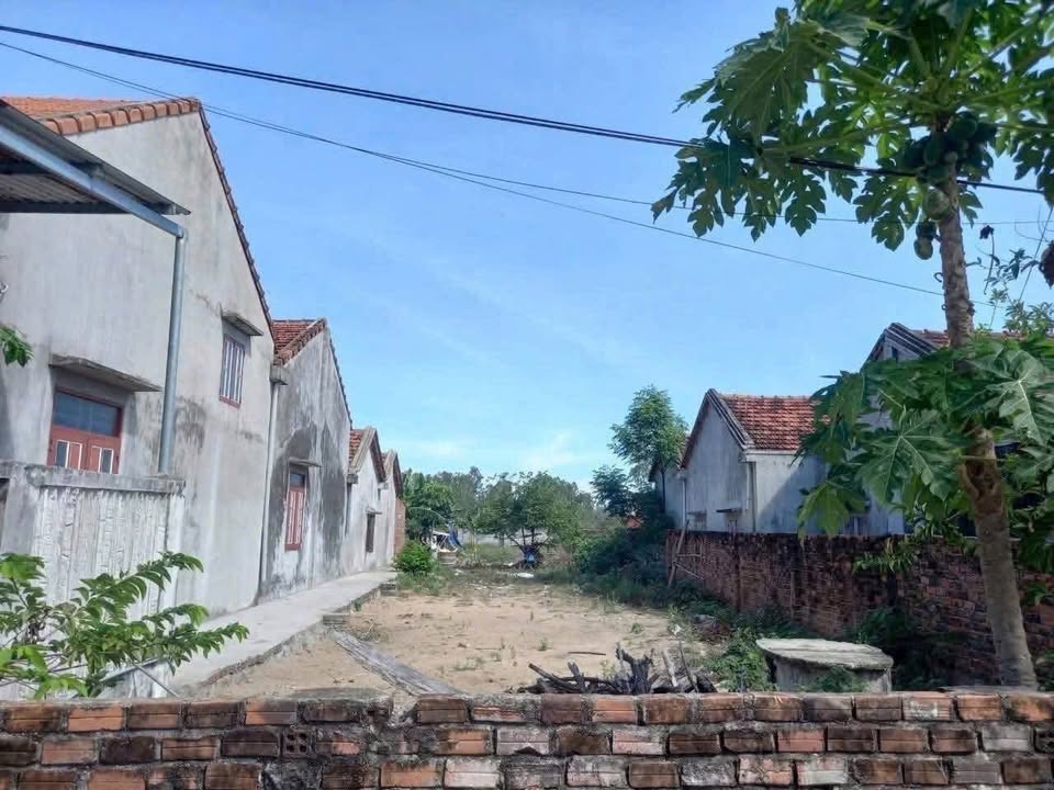 Đất thổ cư mặt tiền Nguyễn Hữu Dực, Hòa Hiệp Trung 368m² giá 1.7 tỷ - Đầu tư sinh lời ngay!