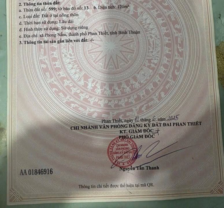 Đất thổ cư Hẻm Xe Hơi Giống Cây Trồng, 120m² giá 1.1 tỷ - Cơ hội đầu tư tốt!