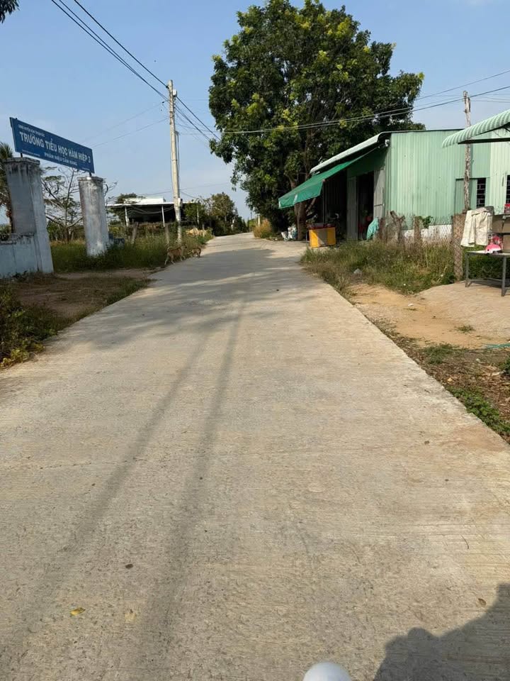 Đất 1 sào 260m² tại Xuân Điền, Bình Thuận - Giá chỉ 833 triệu!