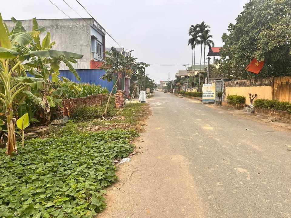 Đất nền Định Hưng, Yên Định 200m² giá 1.5 tỷ - Sổ đỏ chính chủ, đầu tư sinh lời!